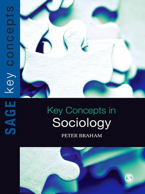 cover image of Key Concepts in Sociology
